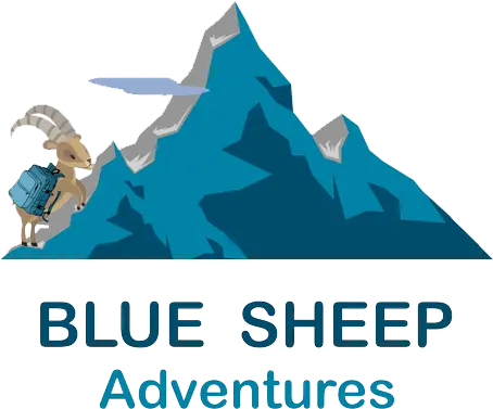 blue-sheep.webp